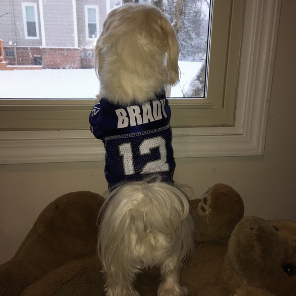 Meet your Posher, Holly - Picture 3 of 8